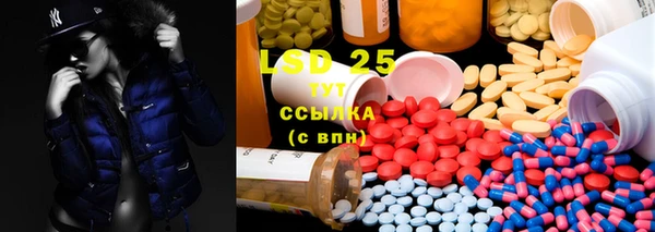 индика Алексин