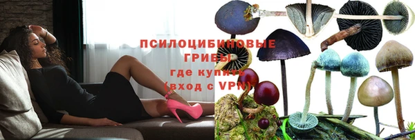 индика Алексин