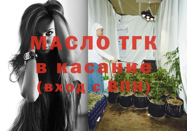 индика Алексин