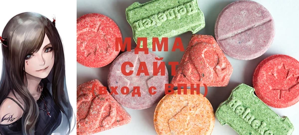 индика Алексин