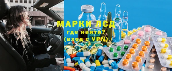 сатива Алзамай