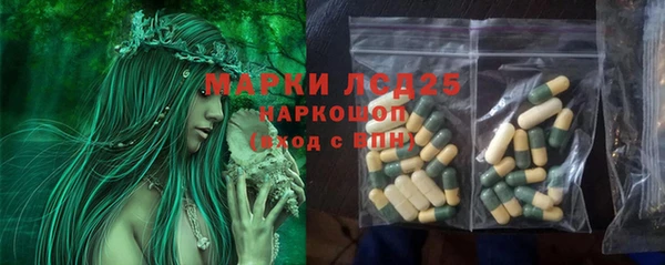 индика Алексин