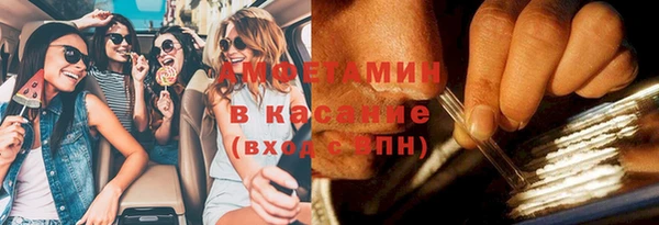 сатива Алзамай
